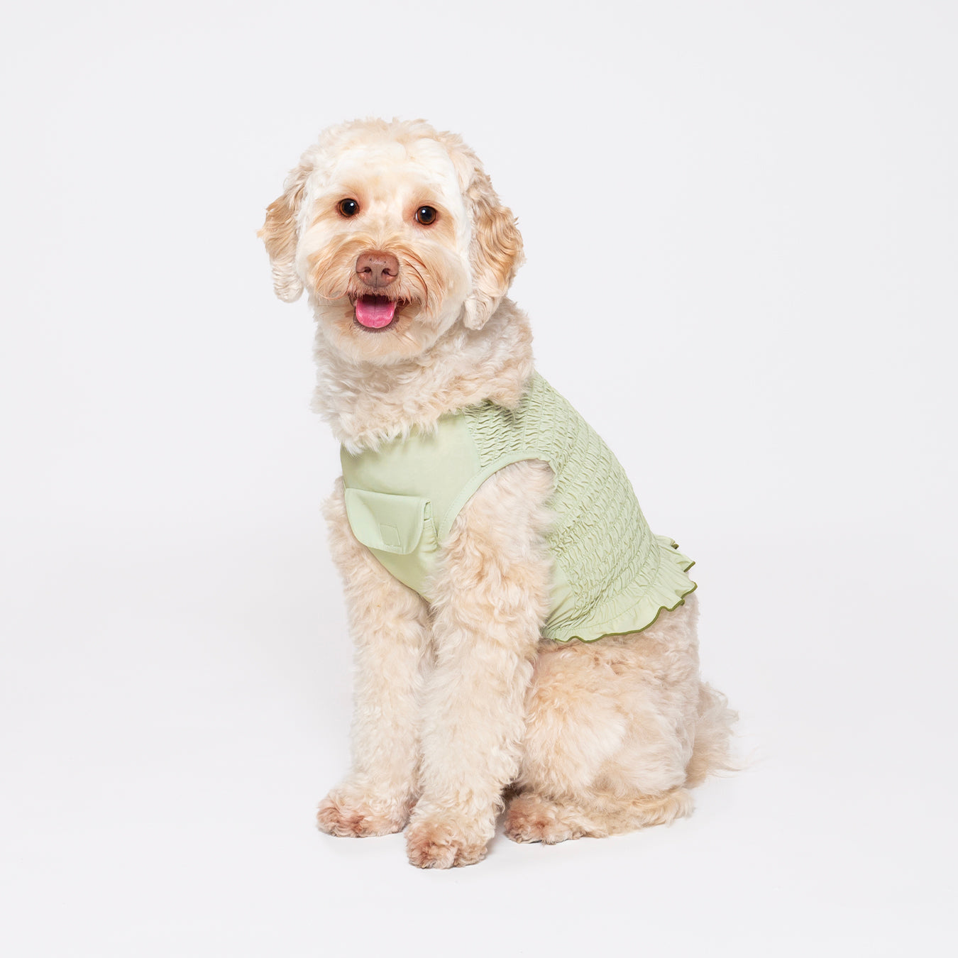 Melon green tank top made with a cool-to-touch silky fabric and smocked detail. Featuring a pocket for our Rounder Ice Pack to keep your pets cool from the summer heat.