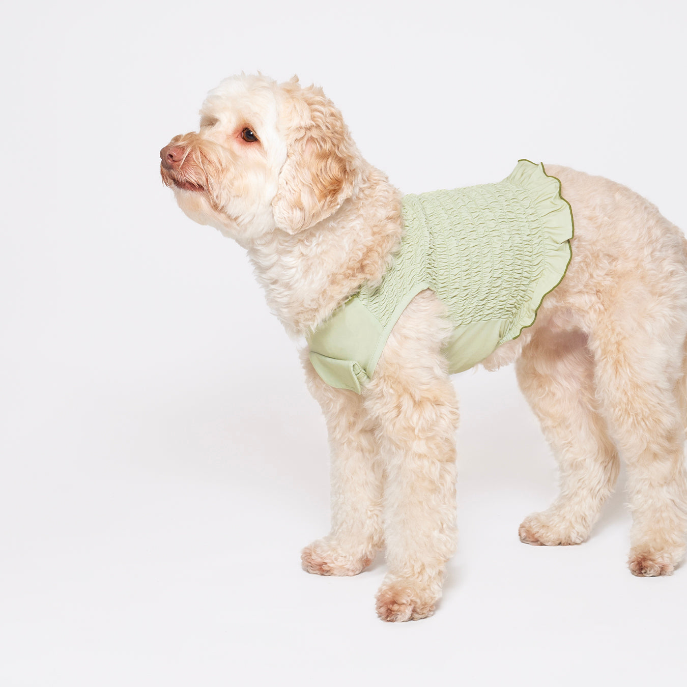 Melon green tank top made with a cool-to-touch silky fabric and smocked detail. Featuring a pocket for our Rounder Ice Pack to keep your pets cool from the summer heat.