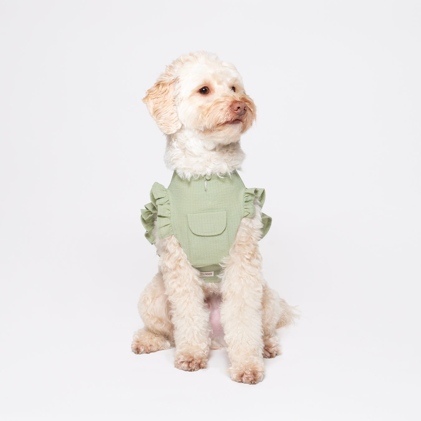 Melon green tank top vest made with lightweight, breathable fabric and ruffled detail around the edges. Adjustable Velcro waist opening for the optimal fit. Featuring a pocket for our Rounder Ice Pack to keep your pets cool from the summer heat.