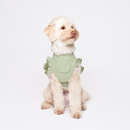 Melon green tank top vest made with lightweight, breathable fabric and ruffled detail around the edges. Adjustable Velcro waist opening for the optimal fit. Featuring a pocket for our Rounder Ice Pack to keep your pets cool from the summer heat.