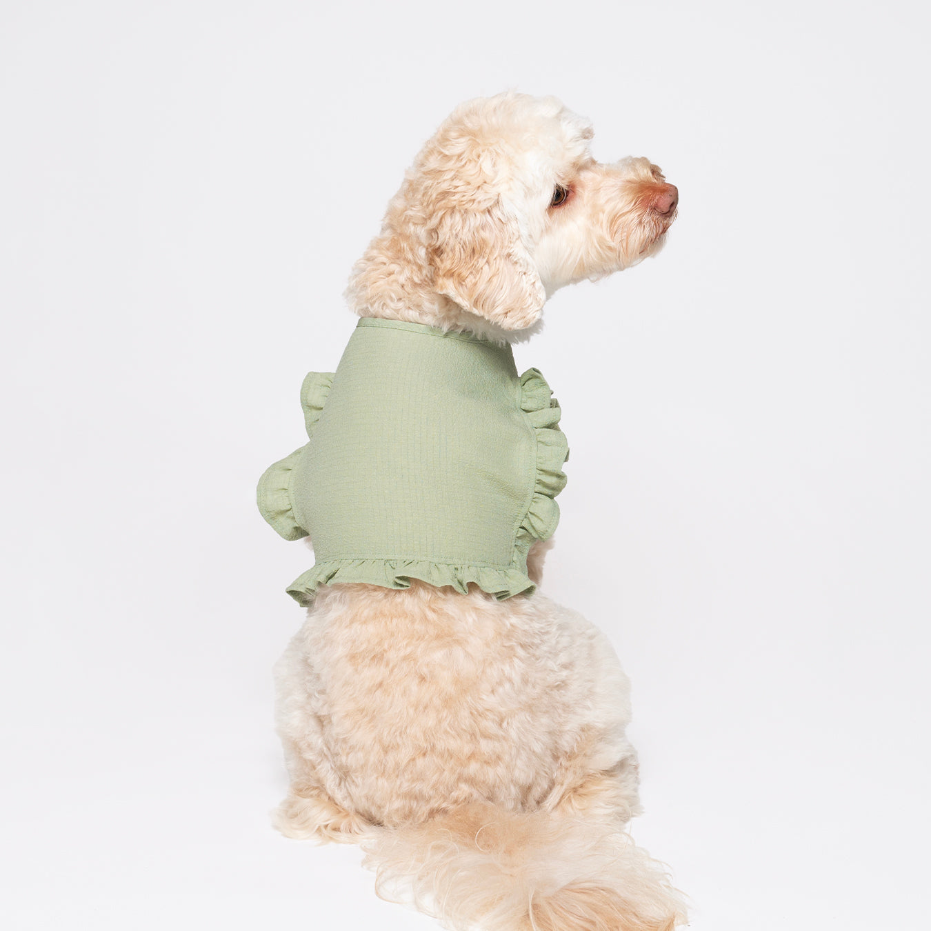 Melon green tank top vest made with lightweight, breathable fabric and ruffled detail around the edges. Adjustable Velcro waist opening for the optimal fit. Featuring a pocket for our Rounder Ice Pack to keep your pets cool from the summer heat.