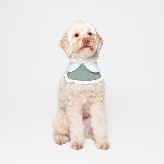 Moss green bandana made with a cool-to-touch silky fabric. Featuring a pocket for our Rounder Ice Pack to keep your pets cool from the summer heat. 