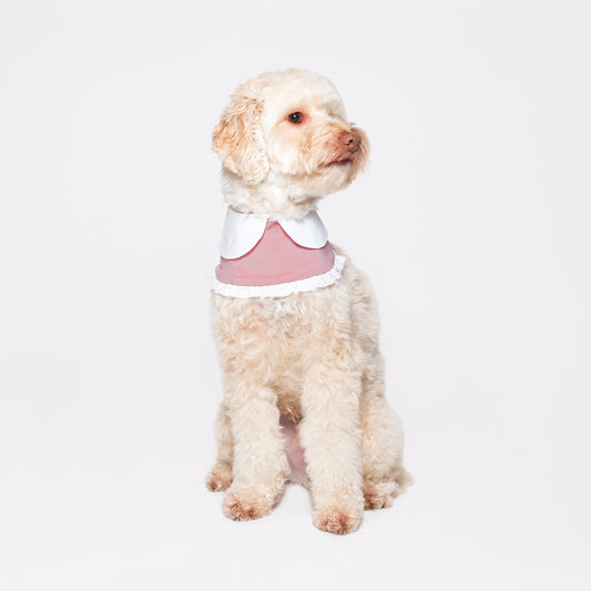 Rose pink bandana made with a cool-to-touch silky fabric. Featuring a pocket for our Rounder Ice Pack to keep your pets cool from the summer heat.