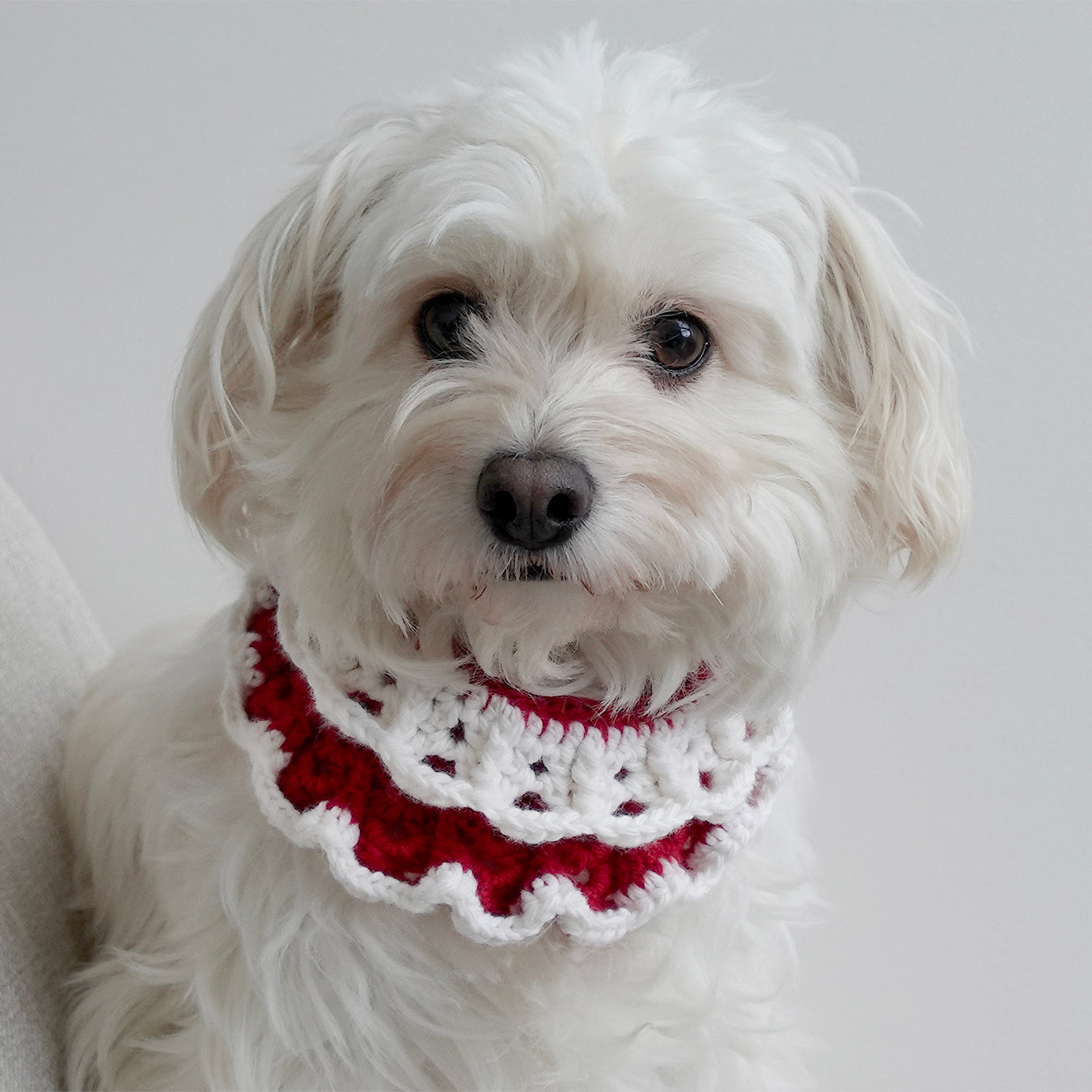 Crochet Collar, Strawberry Shortcake