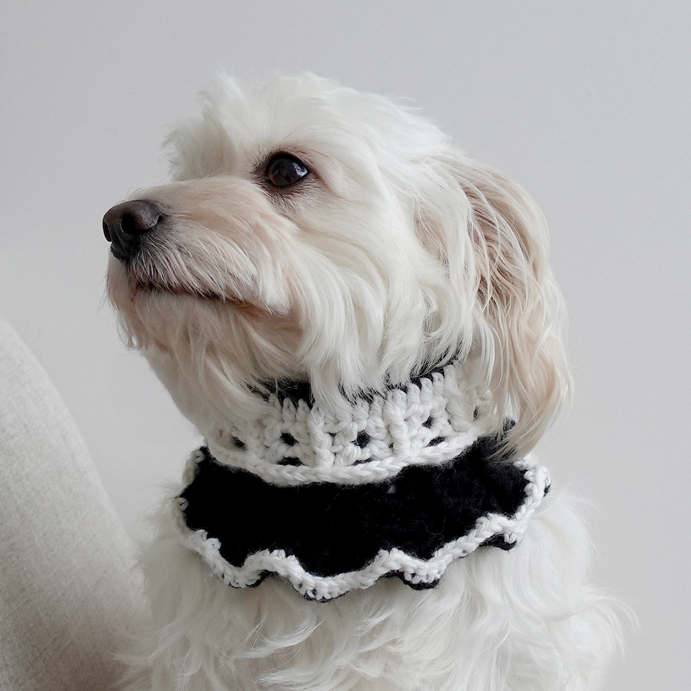 Crochet Collar, Cookies & Cream